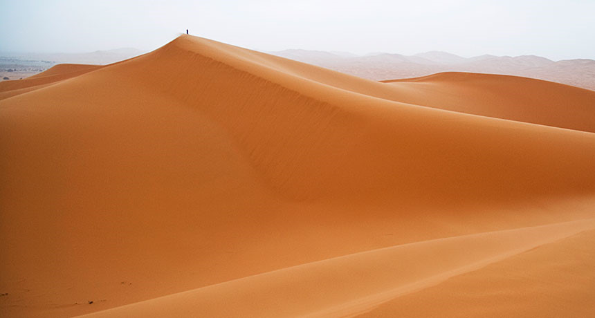 Những[-]sự[-]thật[-]bất[-]ngờ[-]về[-]sa[-]mạc[-]Sahara[-]